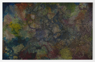 Daniel Boyd Untitled (U), 2012; acrylic and archival glue on linen; 162 x 256 cm; enquire