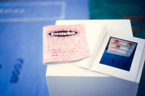 Gail Hastings and Elizabeth Newman Some examples of different ways, 1991; mixed media, hand produced books; dimensions variable; enquire