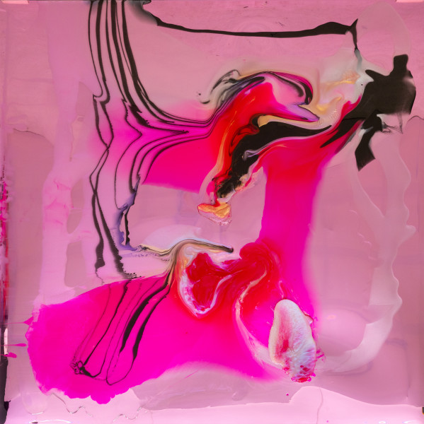 Dale Frank Fiona got a second amex after her third labiaplasty so she could keep track of the costs and the little extras, 2026; colour powder pigments in Epoxyglass, Epoxyglass, on perspex; 200 x 200 cm; enquire