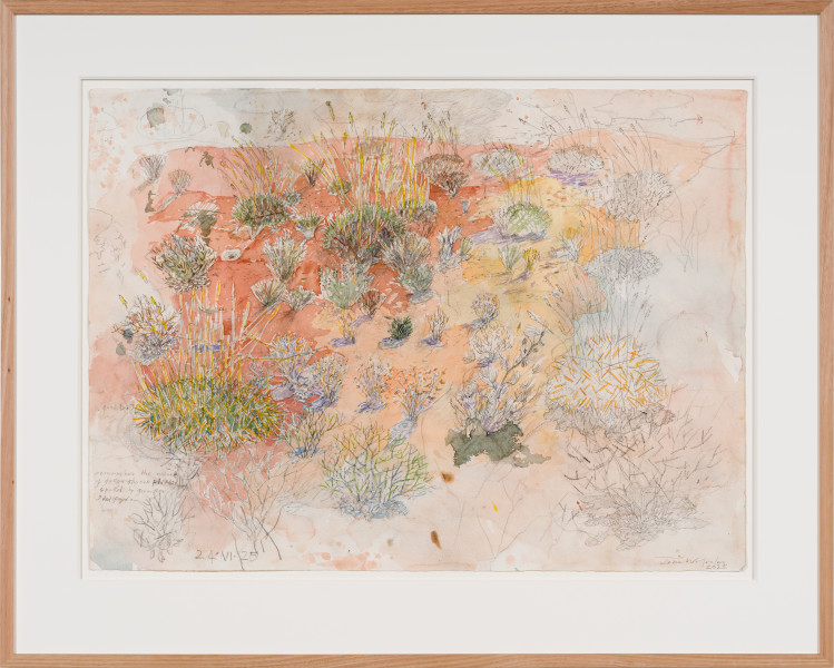 John Wolseley Spinifex plains – Watikinpirri, 2025; watercolour and graphite on paper; 56 x 76 cm; 77 x 96 cm (framed); enquire