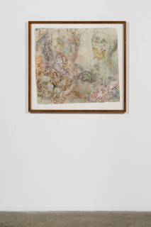 installation view; John Wolseley Cryptic mimicry of the Moritz's leaf-tailed gecko, 2024; watercolour, graphite, frottage and woodblock prints on Gampi and Arches paper; 77 x 86 cm; 94 x 101 cm (framed); enquire