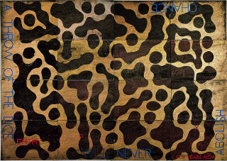 Imants Tillers Nature Speaks: DX, 2012; acrylic, gouache on 16 canvas boards; 101.6 x 142.2 cm; enquire