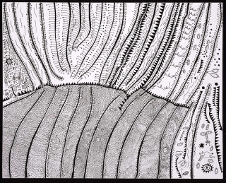 Yayoi Kusama Early Summer [TWPOX], 2006; silkscreen on canvas; 130.3 x 162 cm; Edition of 5; enquire