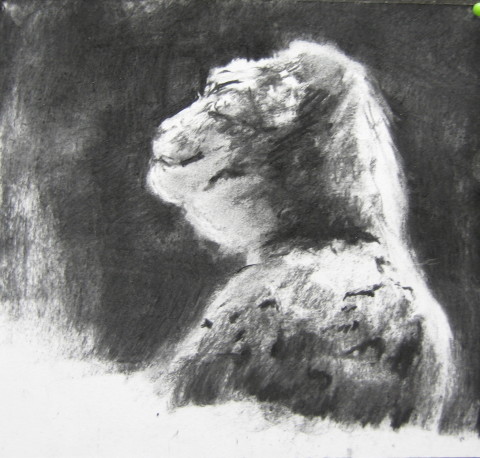 Louise Hearman Untitled #1076, 2005; charcoal on paper; 17 x 18 cm; enquire