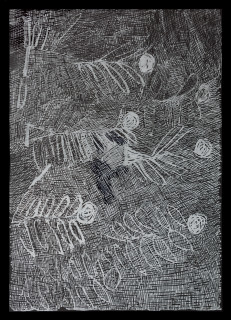 Nyapanyapa Yunupiŋu untitled, 2018; 5423-18; paint pen on clear acetate; 84 x 60 cm; enquire