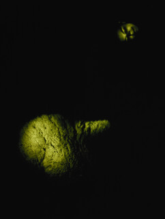 Tracey Moffatt Pet Thang #2, 1991; C-type print; 110 x 71 cm; Edition of 30 + 5 APs; enquire