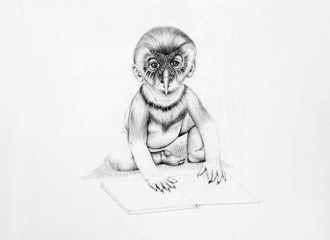 Patricia Piccinini Owl Boy, 2006; graphite on paper; 57 x 77 cm; enquire