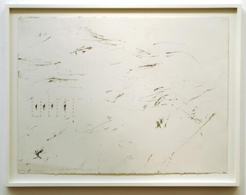 John Wolseley Spotted Nightjar/Desert oak/Beefwood, 2005; watercolour, graphite, carbonised wood on paper; 66 x 85.5 cm; (frame size); enquire