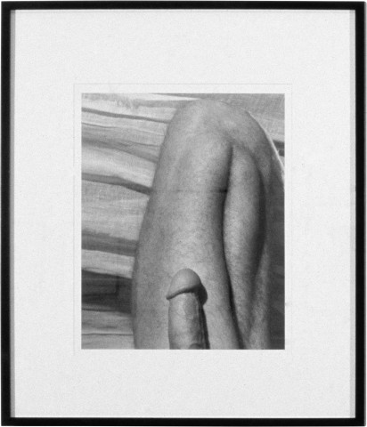 Robert Mapplethorpe Cock And Knee, 1978; Gelatin silver print; 51 x 40.5 cm; enquire