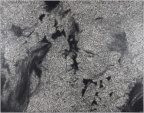 Daniel Boyd Untitled (MB), 2015; oil and archival glue on linen; 168 x 214 cm; enquire