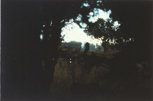 Bill Henson Untitled #90, 1998-99; CL SH367 N12; type C photograph; 127 x 180 cm; Edition of 5 + AP 2; enquire