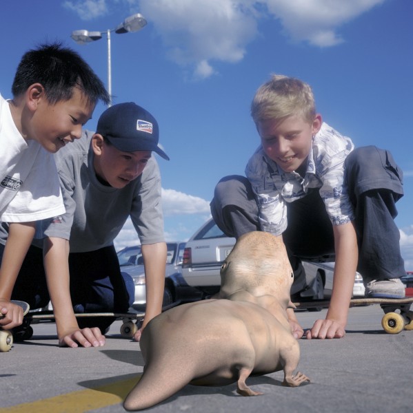 Patricia Piccinini Social Studies, 2001; from the series SO2 (Series 2); Type C colour photograph; 80 x 80 cm; Edition of 60; enquire