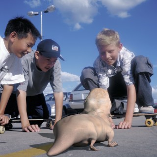 Patricia Piccinini Social Studies, 2001; from the series SO2 (Series 2); Type C colour photograph; 80 x 80 cm; Edition of 60; enquire