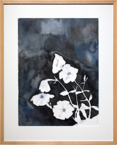 Glenn Sorensen Petunia, 2011; watercolour on paper; 49.5 x 40.5 cm; enquire