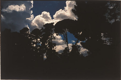 Bill Henson Untitled #87, 2000-01; CL SH399 N22; Type C photograph; 127 x 180 cm; (paper size); Edition of 5 + AP 2; enquire