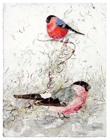 John Wolseley 19. Two Bullfinches and Barbed Wire , 2008; found charcoal, graphite and watercolour on paper; 38 x 30 cm; enquire