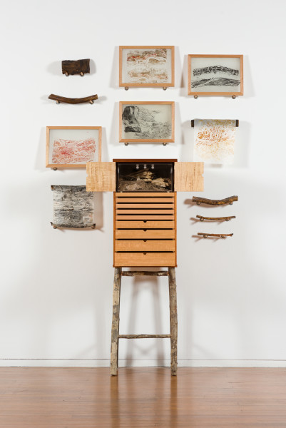 Exhibition view, John Wolseley, One Hundred and One Insect Life Stories, Roslyn Oxley9 Gallery (21 March – 13 April 2019)