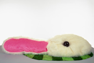 Kathy Temin The Duck-Rabbit Problem, 1991; synthetic fur, synthetic stuffing, wood, polystyrene ball, enamel paint

; 60 x 120 x 200 cm; enquire