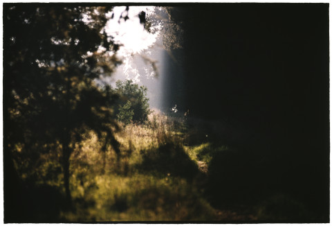 Bill Henson Untitled #4, 2005-06; CL SH529 N12A; type C photograph; 127 x 180 cm; Edition of 5 + AP 2; enquire