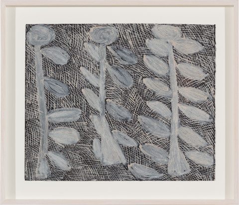 Nyapanyapa Yunupiŋu Dharpa, 2017; 3285-17; earth pigments on paper; 49.5 x 57.5 cm; more info; enquire