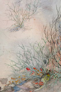 John Wolseley 'The other side of paradise' - Princess Parrot and the last Paradise Parrot (detail), 2026; watercolour and graphite on paper; 70 x 100 cm; 95 x 125 cm (framed); enquire