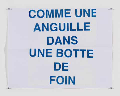 A Constructed World Like an eel in a haystack, 2017; Heat transfer print on paper; 50 x 65 cm; more info; enquire