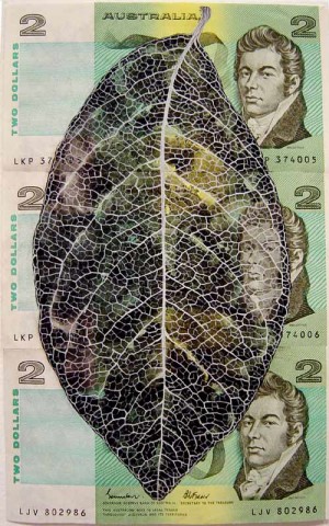 Fiona Hall Leaf Litter (detail), 2000-02; gouache on banknotes; dimensions variable; enquire