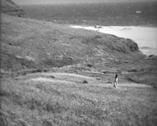 David Noonan Field, 0; DVD, from Super 8; Duration 2:36 minutes; Edition of 9; enquire