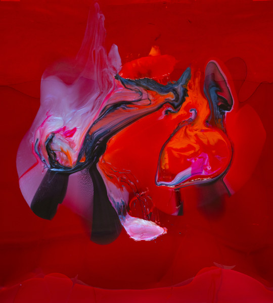 Dale Frank His eyes collided side to side in a dance floor disco embrace, his receding dick shuddered up and down, his exhausted breast strained, his sinuous muscles sagging balloons like an old ladies underarm flab, the vanilla cream filling of his life licked off, 2026; colour powder pigments in Epoxyglass, Epoxyglass, on perspex; 200 x 180 cm; enquire