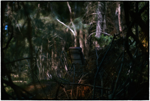 Bill Henson Untitled, 2018-19; CL GW SH3 N17; archival inkjet pigment print; 127 x 180 cm; edition of 5 + 2 AP; Enquire