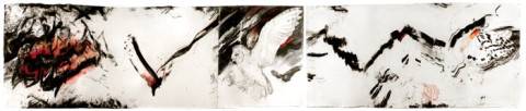 John Wolseley 6. Masked Owl: Alpine Night, 2003-04; carbonised wood, watercolour and coloured pencils on paper; two parts, overall 71.5 x 361 cm (paper), 76.4 x 367 cm (framed); enquire
