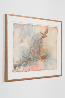 John Wolseley 'The other side of paradise' - Princess Parrot and the last Paradise Parrot, 2026; watercolour and graphite on paper; 70 x 100 cm; 95 x 125 cm (framed); enquire