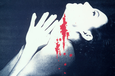 Carol Rudyard Visions of Xes, 1991; video installation; 12 minutes 45 seconds; enquire