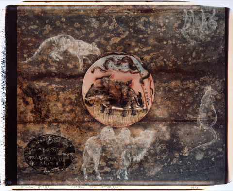 Fiona Hall Historia Non-Naturalis, 1991; polaroid photograph; 92 x 108 cm, framed; enquire