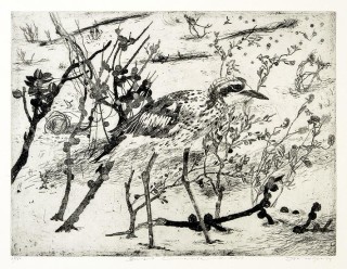 John Wolseley Bush Curlew, 2004; etching
; 30 x 39 cm (image), 56 x 63 cm (sheet); Edition of 50; enquire