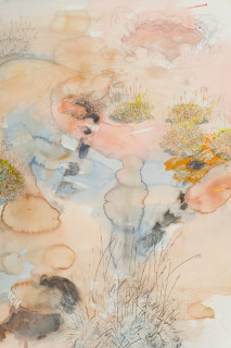 John Wolseley Great desert skink commune – basking mound, birthing pool and defecatorium (detail), 2025; watercolour and graphite on paper; 118 x 154 cm; 134 x 169 cm (framed); enquire