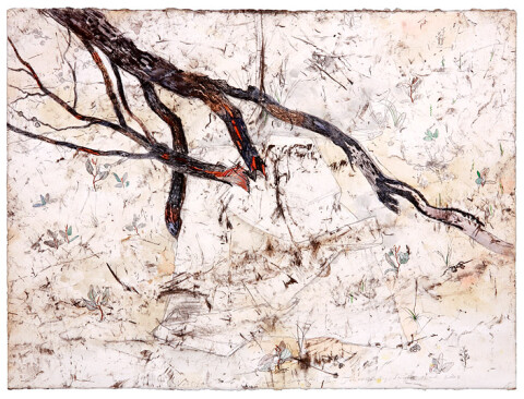 John Wolseley 6. Ventifact Held by Burnt Branches, Sunset Track no. 2, 2007; found charcoal, graphite and watercolour on paper; 56 x 77 cm; enquire