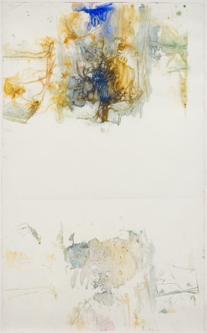 John Wolseley Lagoon – Durabudboi river, 2014-18; watercolour on paper; 244.5 x 156.5 cm; enquire