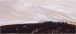 Mandy Martin Bellata - Moree, 1992; oil on linen; 62 x 137 cm; enquire