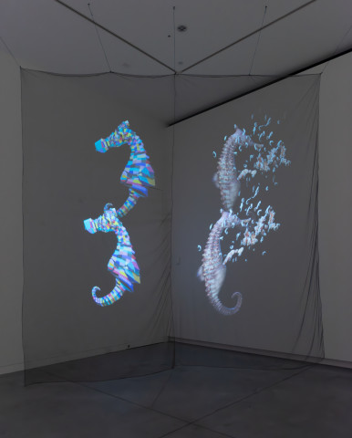 Mikala Dwyer Holohorses, 2023; digital animation and audio composition; Edition of 5 + 2AP; enquire