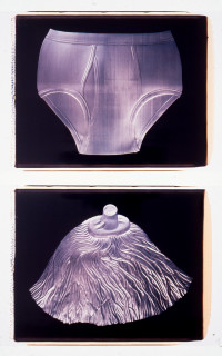 Fiona Hall Untitled, 1994; polaroid photographs; 53 x 68 cm; each (image size), diptych; enquire