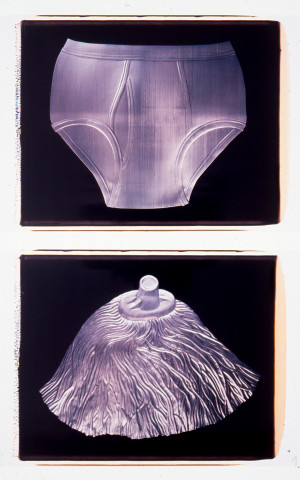 Fiona Hall Untitled, 1994; polaroid photographs; 53 x 68 cm; each (image size), diptych; enquire