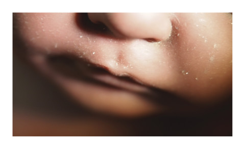 Destiny Deacon Dolly Lips (A), 2017; from the series Dolly Lips; lightjet print; 23.5 x 39 cm; Edition of 5 + 2 APs; enquire