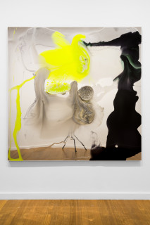 installation view; Dale Frank Jeff and Adam have a wonderfull family having over the last 20 years found four boys from three States, always on Christmas holidays, and two have turned out to be good lookers, 2026; colour powder pigments in Epoxyglass, Epoxyglass, on perspex; 200 x 200 cm; enquire