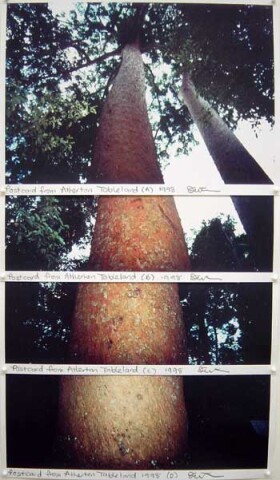 Destiny Deacon Postcard from Atherton Tablelands (A) (B) (C) (D), 1998; 4 colour laser prints; 52 x 29.8 cm; Edition of 15; enquire