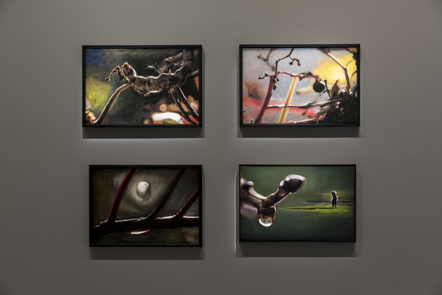 Exhibition view, Louise Hearman, TarraWarra Museum of Art, 2017; Photo: Andrew Curtis