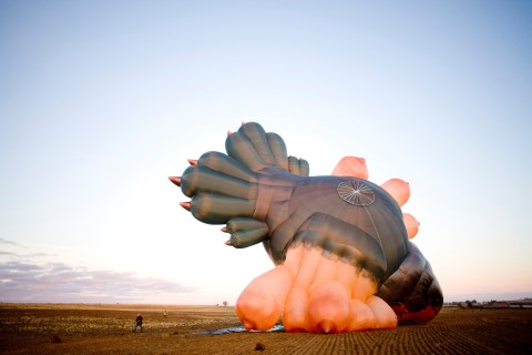 Patricia Piccinini Skywhale, 2013; hot air balloon; 3400 x 2300 x 2000 cm; enquire