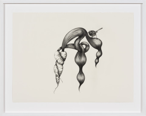 Patricia Piccinini Inseparable (Fairy Wren), 2020; graphite on paper; 57 x 76 cm; 72.5 x 91 cm (framed); more info; enquire