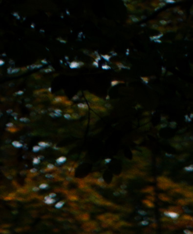 Bill Henson Untitled #32, 1976-2016; from the series Kindertotenlieder; archival inkjet pigment print; 69 x 60 cm; Edition of 10; enquire