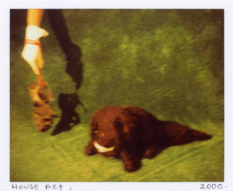 Destiny Deacon House pet, 2000-03; lambda print from Polaroid original; 80 x 100 cm; Edition of 15; enquire